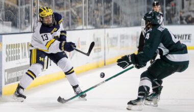 TJ Hughes could fill a role as a bottom-six centre for the Canucks