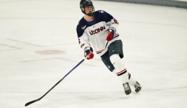 Wild Working To Sign Viking Gustafsson Nyberg – Pro Hockey Rumors