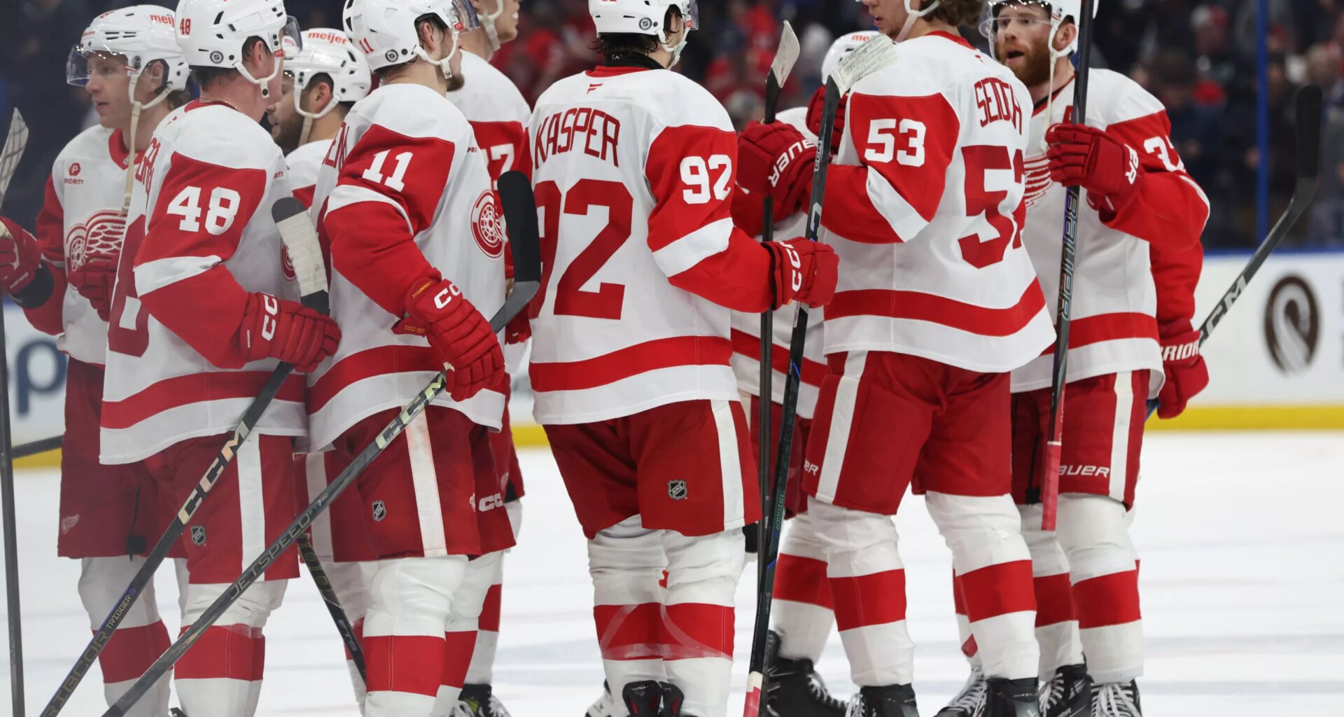 Top Red Wings Defenceman Made One Massive Impact