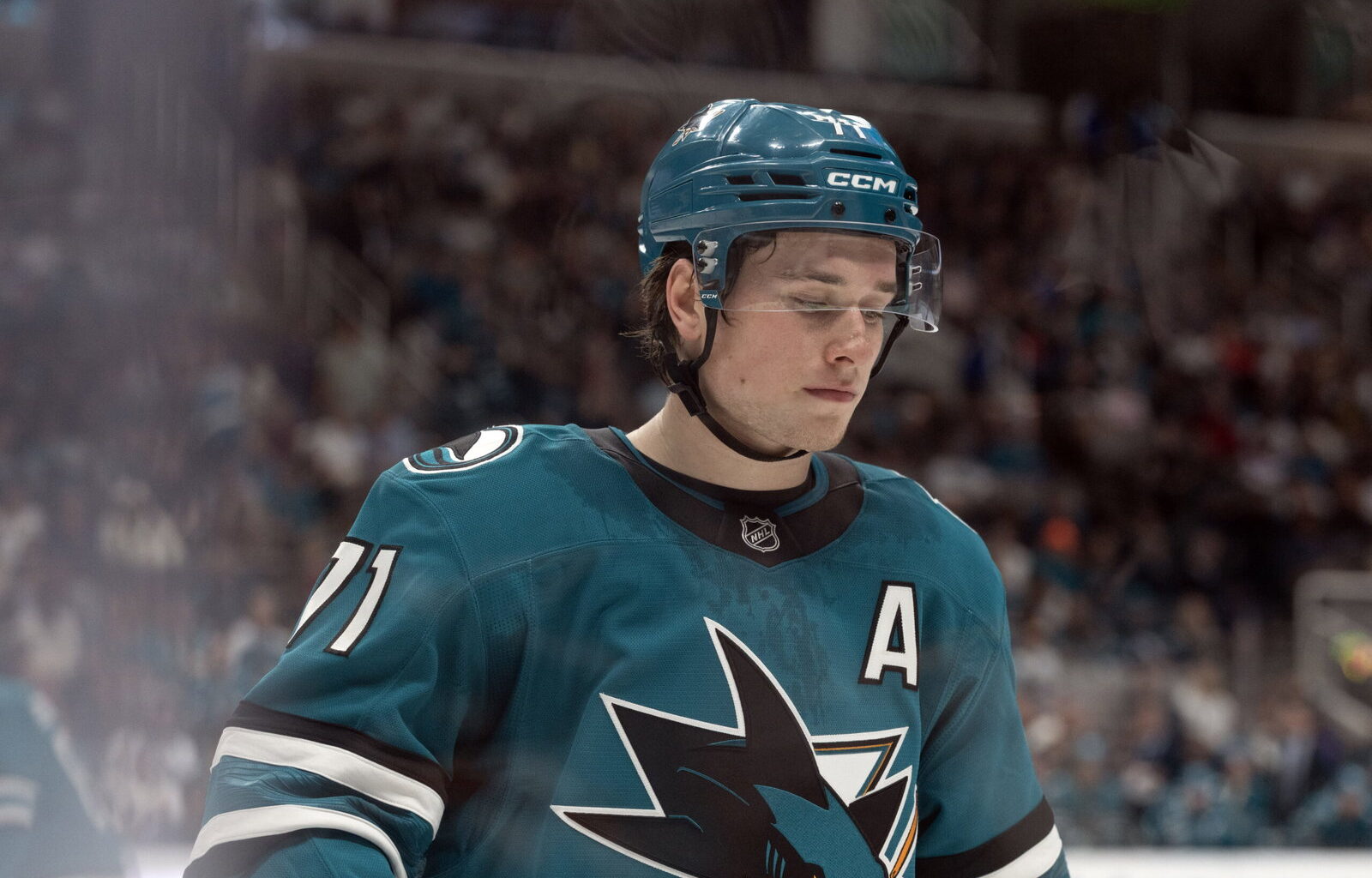 Should Macklin Celebrini Win MVP if the Sharks Make the Playoffs? – The Lead