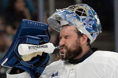 Anthony Stolarz, Toronto Maple Leafs