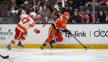 Flames able to find holes in Ducks defence, strike often in 5-3 win.