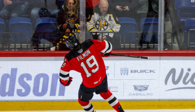 Comets Send Two Players to Adirondack