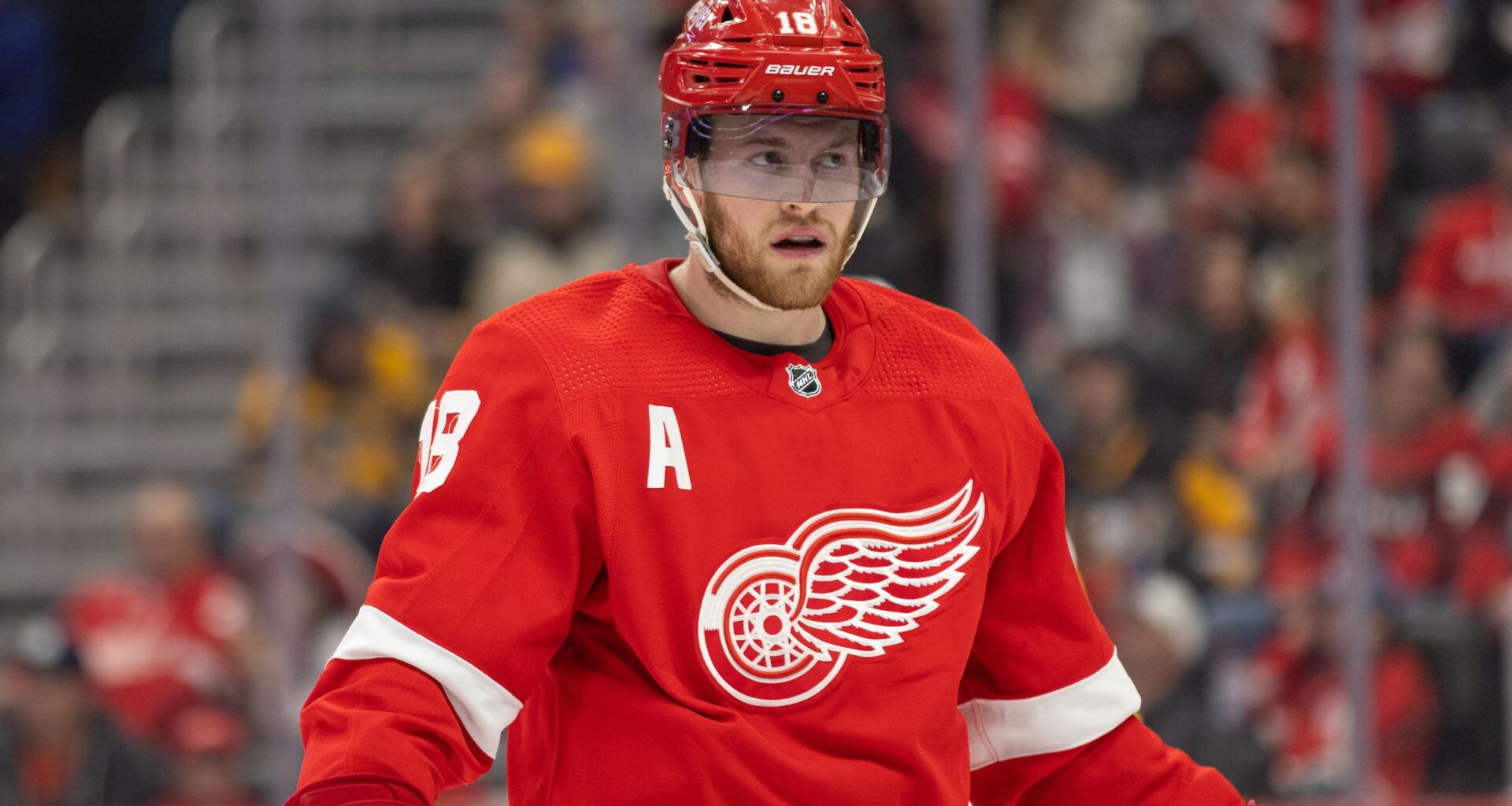 Red Wings Finding Outside Noise Weighs Heavily On Them / DHN
