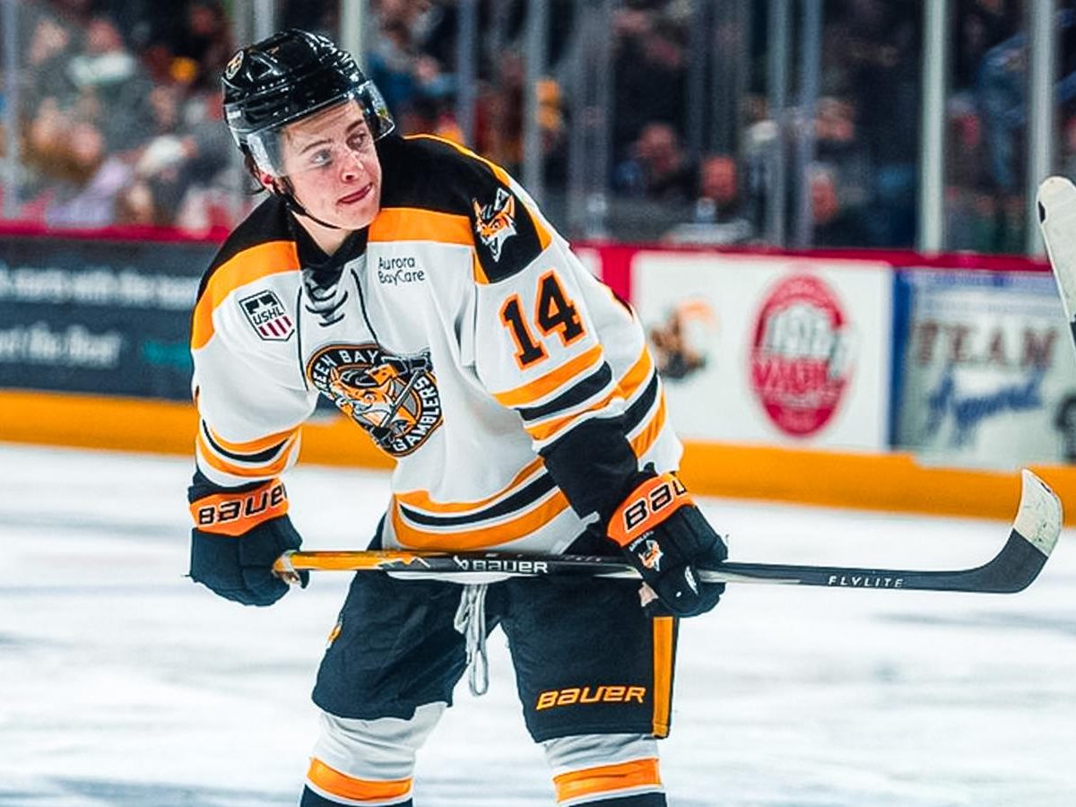 2026 NHL DRAFT: SECOND CHANCES PART TWO - USA