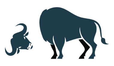 Sabres are a subpar team