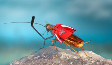 Capitals playoff scenarios: How Washington can still make the postseason with two games left