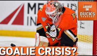 TORNADO: Anaheim Ducks’ Heartbreak Continues as Lukáš Dostál STRUGGLES in St. Louis Letdown