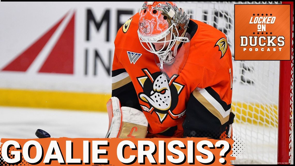 TORNADO: Anaheim Ducks’ Heartbreak Continues as Lukáš Dostál STRUGGLES in St. Louis Letdown