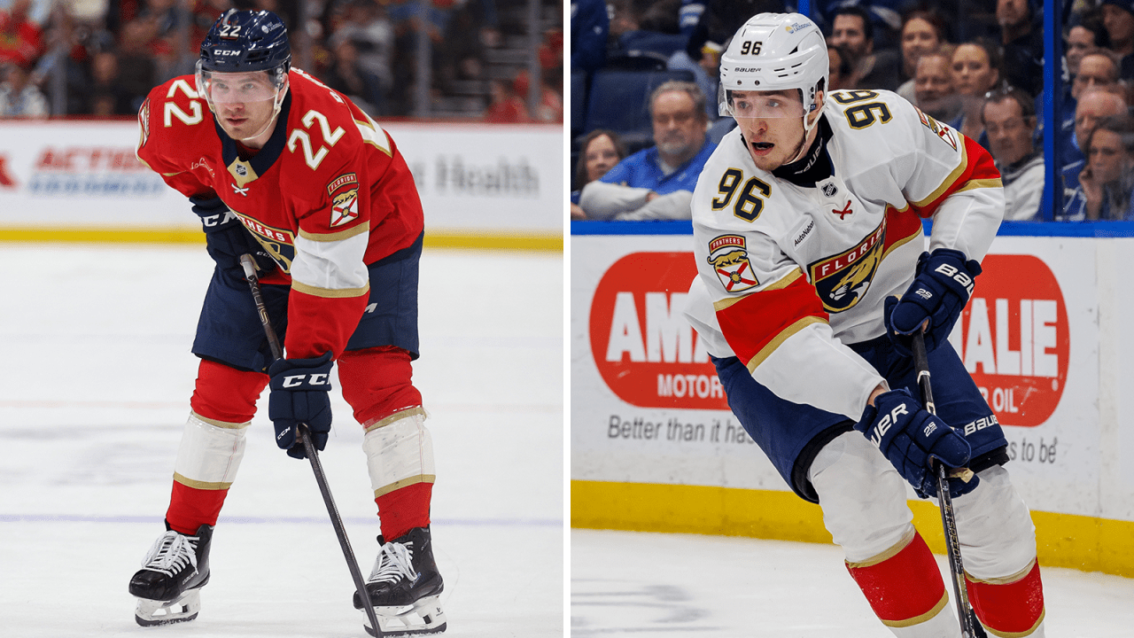 Panthers recall Bjornfot, Hovorka from AHL