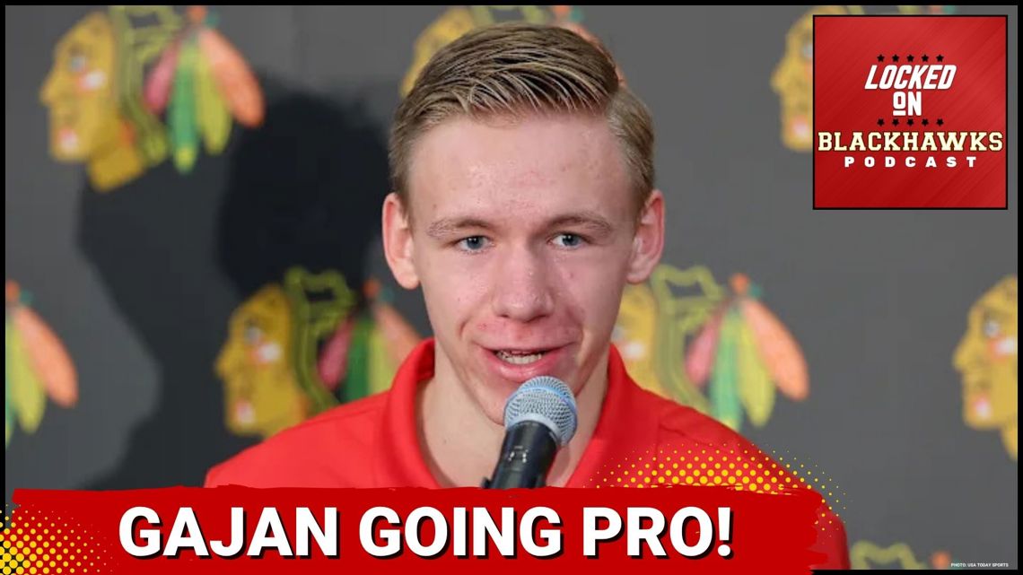 Blackhawks Sign Adam Gajan To Entry-Level Contract | Levshunov & Grzelcyk Out For Season