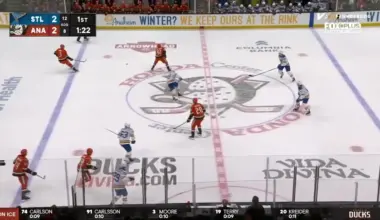 Anaheim Ducks vs. St. Louis Blues - Game Highlights