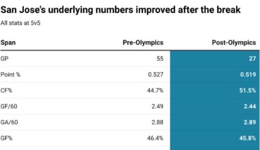 The 2025-26 San Jose Sharks: A magical season that came up just short