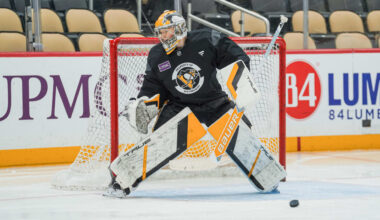 Penguins Navigate Through Some Uncertainty in the Crease