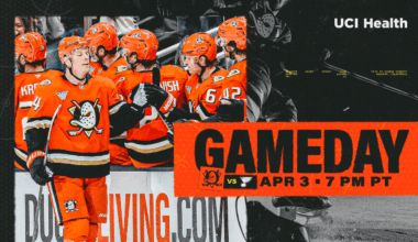 PREVIEW: Ducks Look to Bounce Back vs. Blues