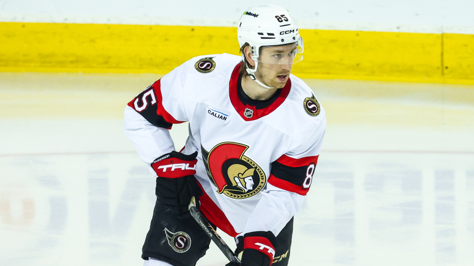 The Senators Are Hanging in There Without Sanderson & Chabot