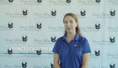 Sharks in the Community | San Jose Sharks Outreach Videos