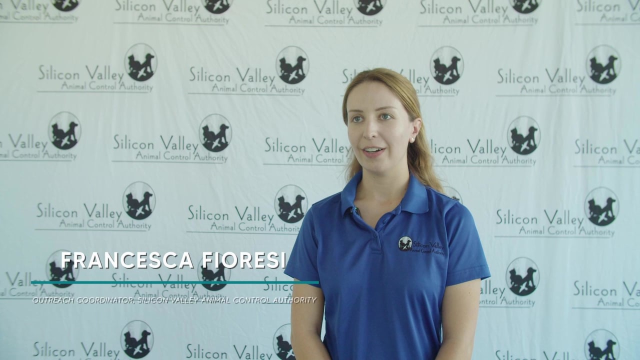 Sharks in the Community | San Jose Sharks Outreach Videos