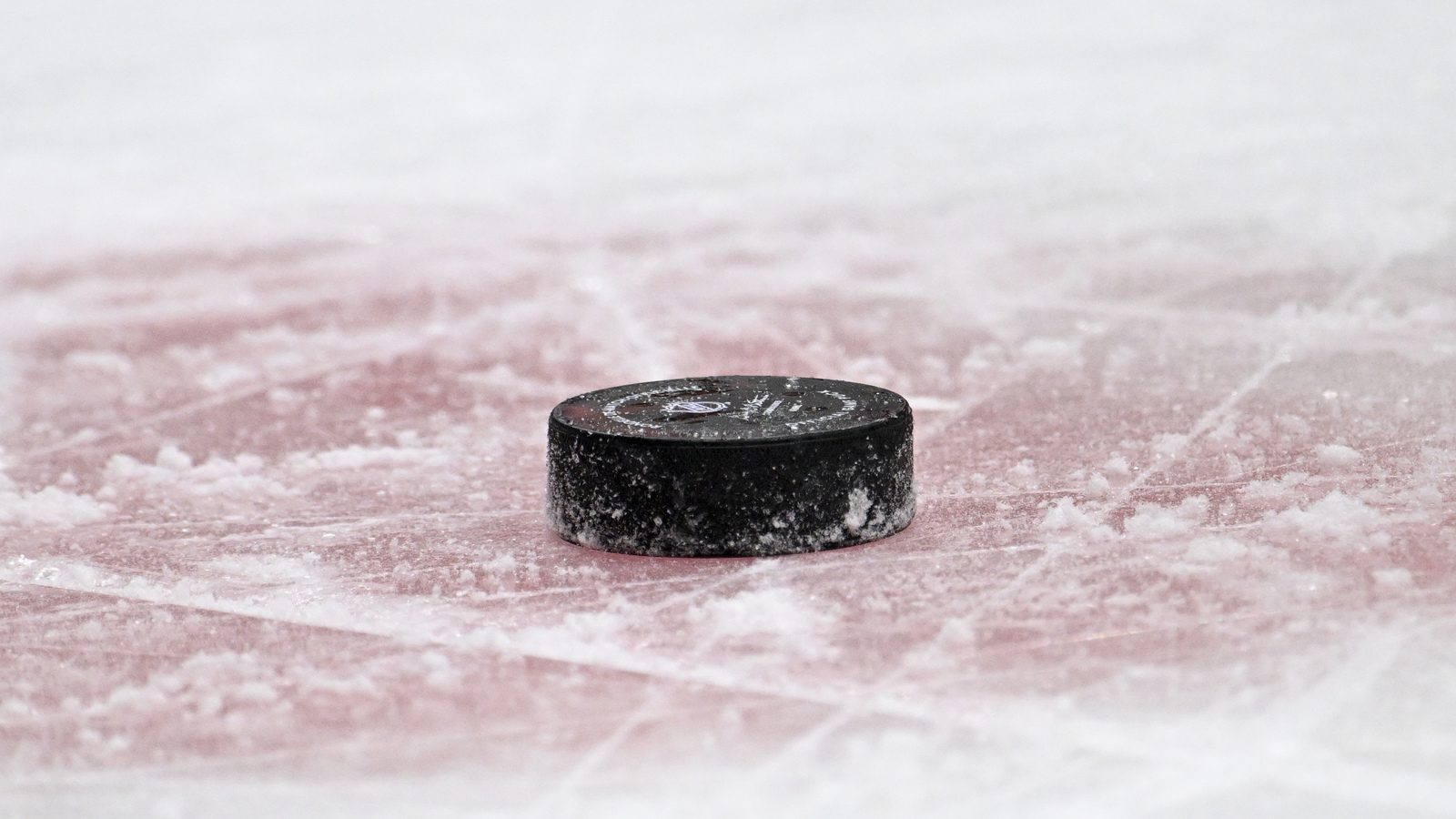 Chicago Blackhawks Sign Adam Gajan