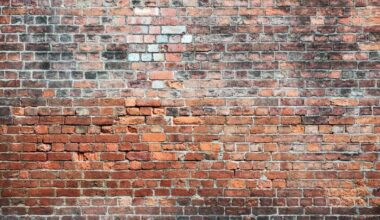 Sens Shut Out Isles 3-0 in PK Masterclass