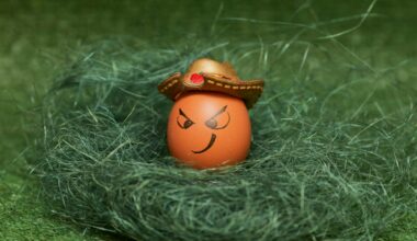 Senators Lose 6-3 to Panthers