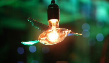 Ottawa Charge Hub and Senators Off-Day Thread