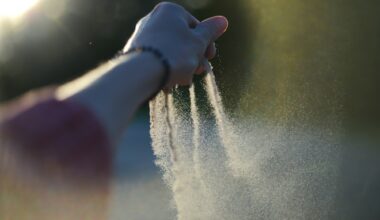 Sanderson Returns, but Senators get Smothered in 4-1 Loss to Wild