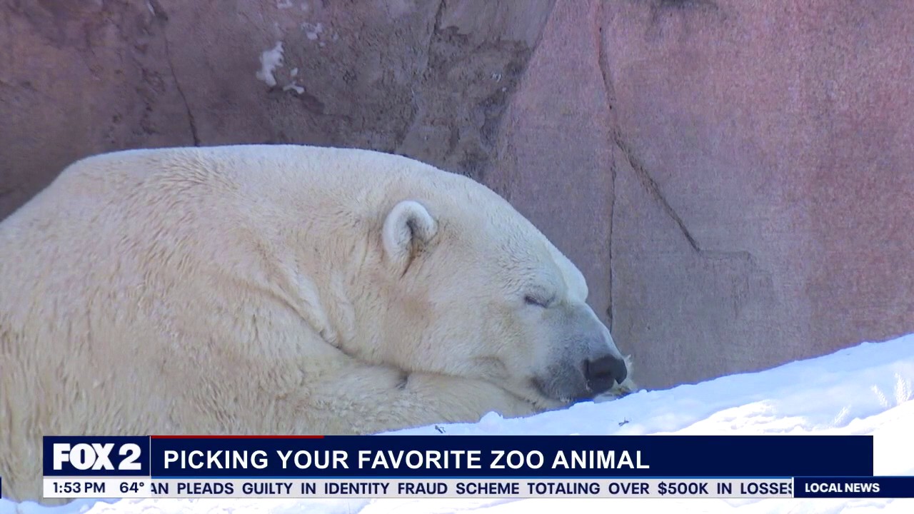 Pass the Mic: Red Wings & construction grievances & zoo draft!