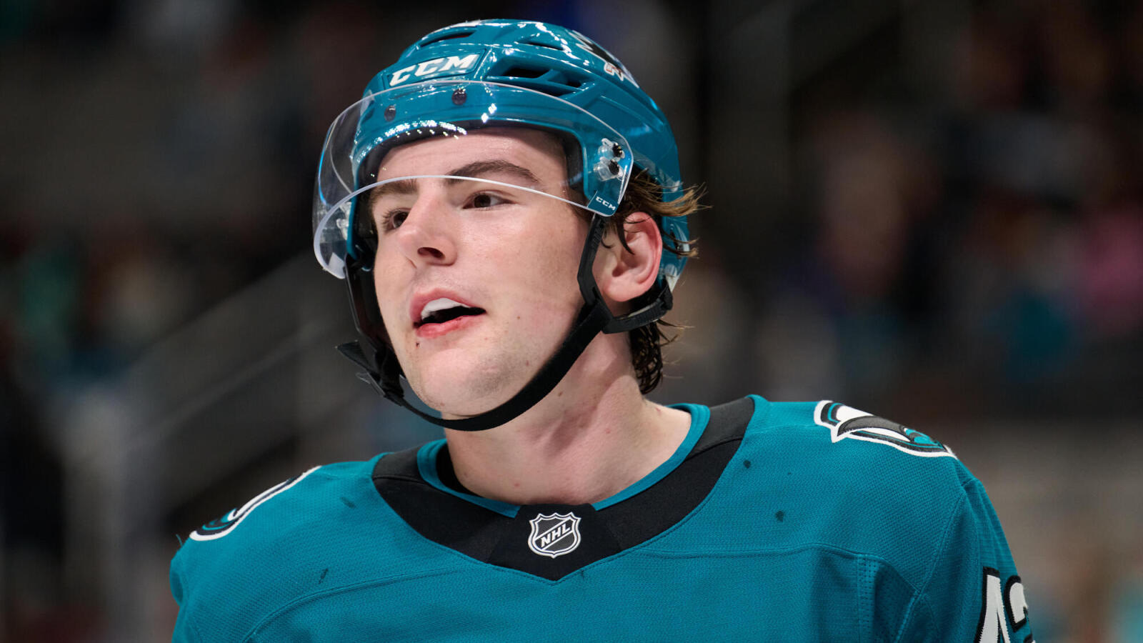 Sharks Recall Luca Cagnoni | Yardbarker