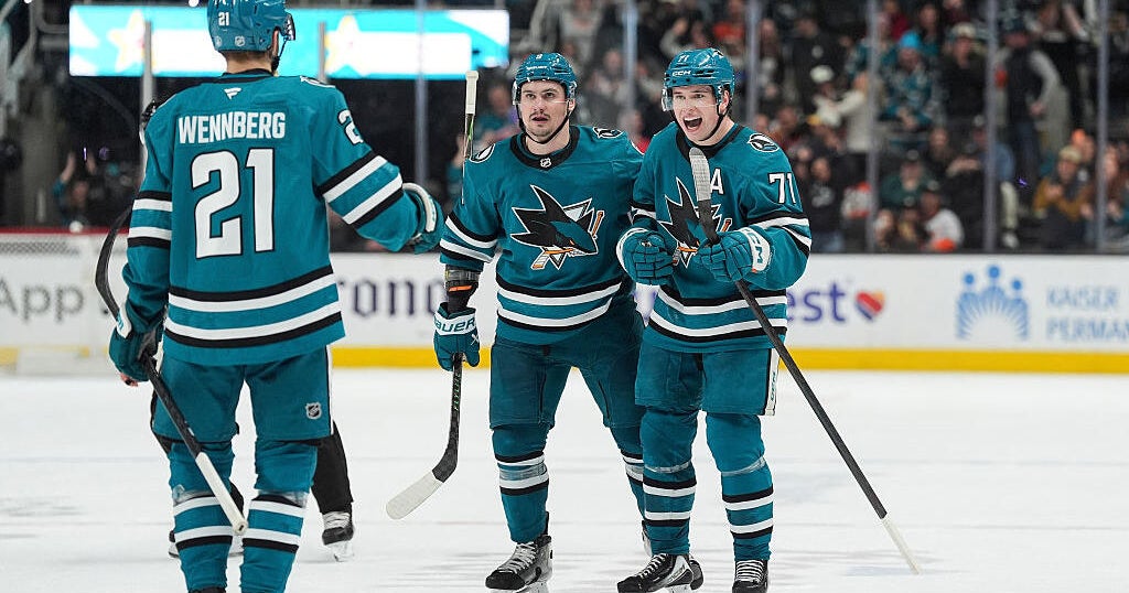sharks-ducks-2268845018.jpg