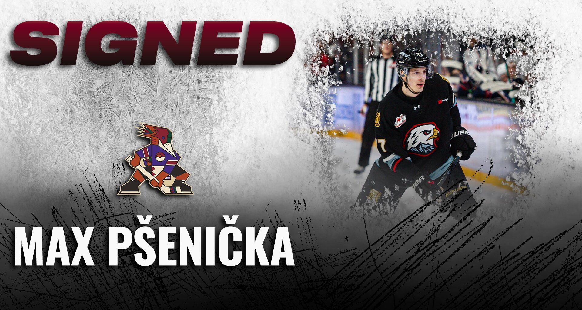 Tucson Roadrunners Hockey