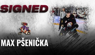 Tucson Roadrunners Hockey