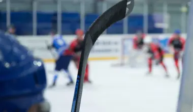 Dallas Stars bans fan 'indefinitely' over Nazi salute incident - JNS.org