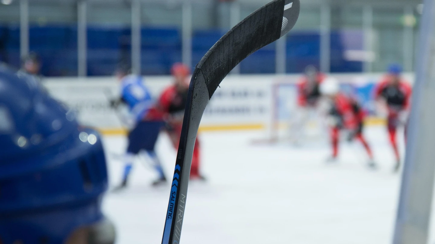 Dallas Stars bans fan 'indefinitely' over Nazi salute incident - JNS.org