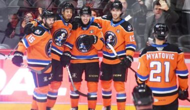 Gulls still stirring pot for Calder Cup playoff berth