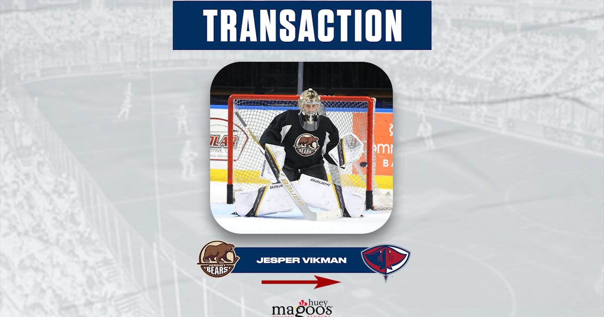 South Carolina Stingrays | GOALTENDER JESPER VIKMAN RE-ASSIGNED TO STINGRAYS