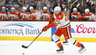 Ducks Recall Hinds from San Diego