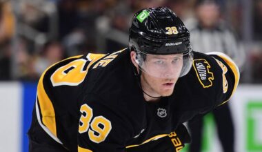 Can the Boston Bruins 2025-26 Statistical Leaders Do It Again Next Season?