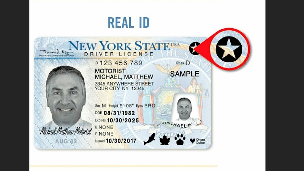 Long Islanders outpace NY average on REAL ID — but 43% still don't have it a year past deadline