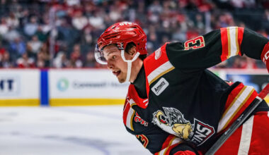 Red Wings Other Johansson Could Also be in Detroit Soon