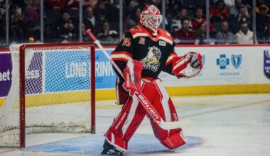 What could Michal Postava’s emergence mean for Red Wings and Sebastian Cossa?