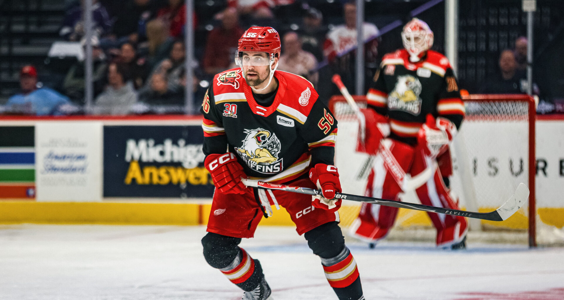 Former Red Wings D Gustafsson Embraces Griffins Role