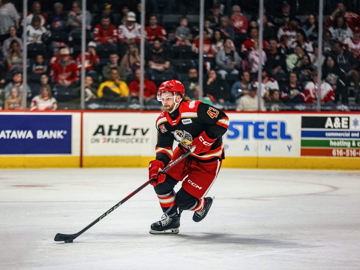 Which Red Wings prospects are NHL-ready in Grand Rapids? Projected roles for 2026-27