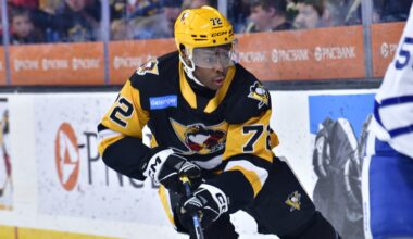 Penguins' Bill Zonnon proving ready for pro hockey