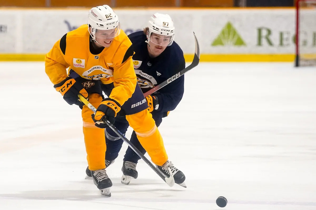 Nashville Predators sign Felix Nilsson to three-year, entry-level deal