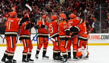 Anaheim Ducks News & Notes: Playoff Recap and Offseason - The Hockey Writers -
