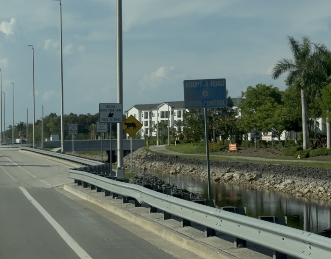Florida Panther crossing