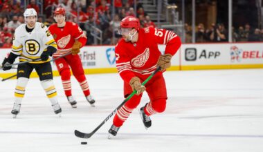 Red Wings Report Card: Second Coming of Perron Didn't Deliver The Goods