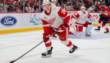 Red Wings Prospect Finds Comfort Zone