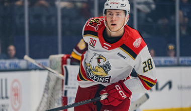 Michael Brandsegg-Nygard, Grand Rapids Griffins